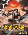 皇上np一男n女