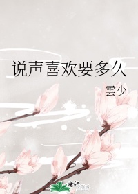 姐夫宠