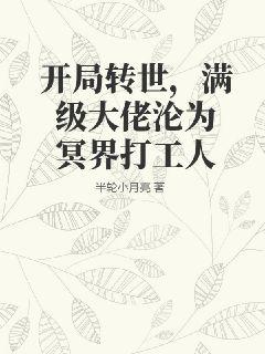 车速很高的r文