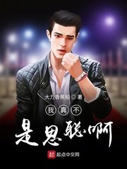高圆圆男友