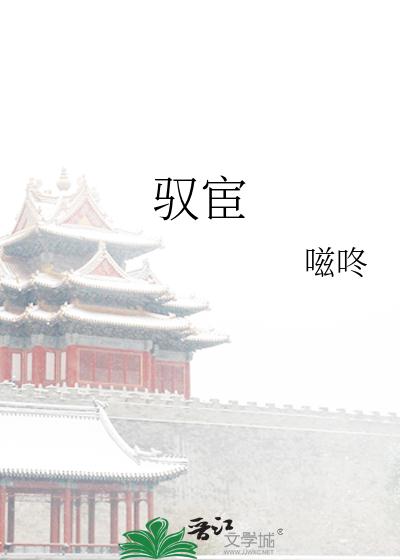 禁小说