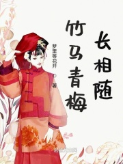 日本版西游记