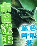 开心宝贝小说