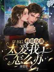 完美案件