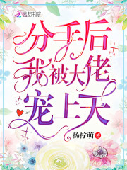 大宋海贼