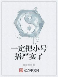 新红楼梦2024