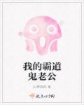 网络黑侠