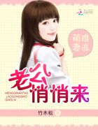 你懂得动画片