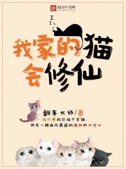 次次到肉杠杆到底
