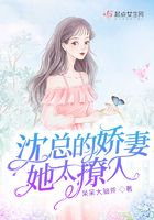 家庭小说500合集