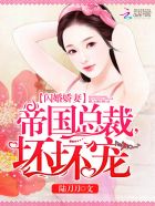 跤王电视剧全集在线观看免费