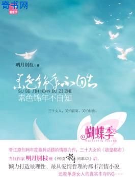 调教女仆小游戏