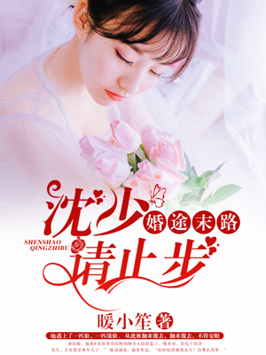 《暂坐》免费阅读