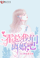 一胎双宝总裁大人夜欢