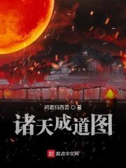 亚洲精品无播放器在线看观看