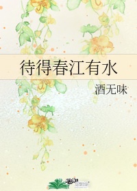 猫咪网站是多少
