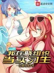 超凡骑士领主