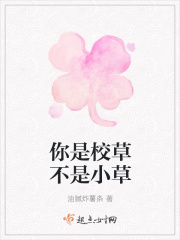 福艳之都市后宫txt