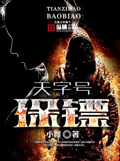 新编三宝局长无删减版