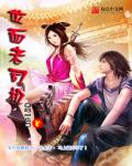 金梅瓶无删减版pdf