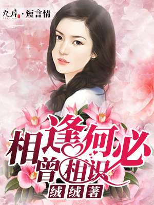 国产精品不卡在线观看