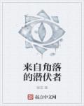 超级高米迪