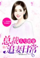 银河战队
