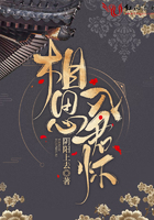 刀剑神域本子库