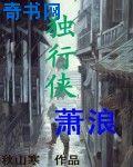 公媳小说