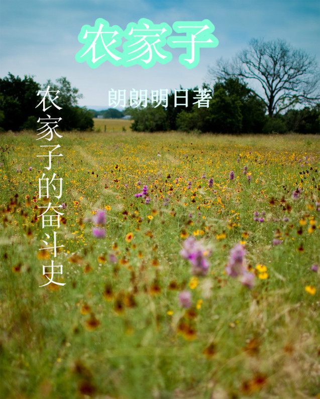 小清欢全文+番外
