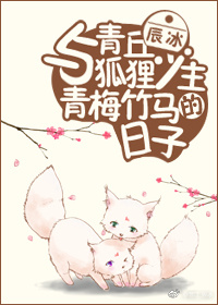 野猫驯养
