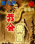 情满四合院