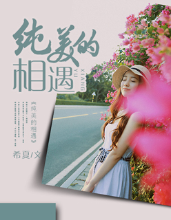 silk系列百度云