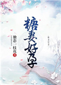 王者荣耀芈月