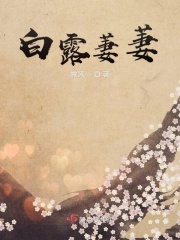 盗墓笔记txt百度云