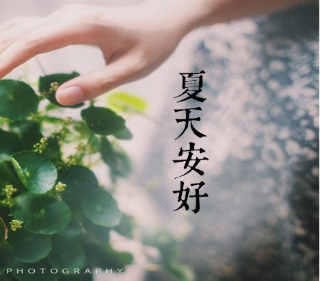 二次元捆绑图片7区acga区acg