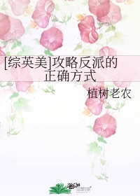 孔中窥见真理之貌