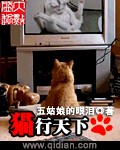 给老婆找单男