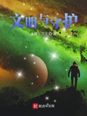 未来都市no.6小说