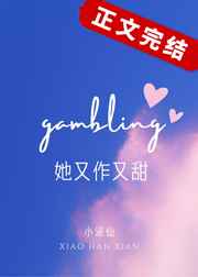 浮图塔免费阅读全文