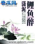 cd小说