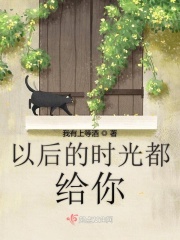 少年阿宾第一章房东太太