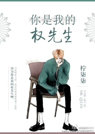 sw系列经典前10