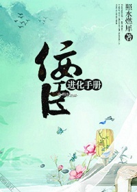 重生追美记小说