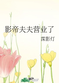 小猪导航