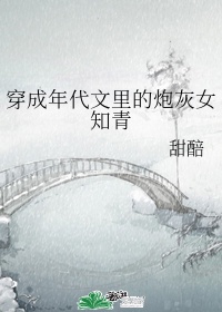 新乱世佳人电视剧9集