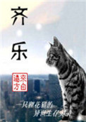 低头看我们结合的地方小说