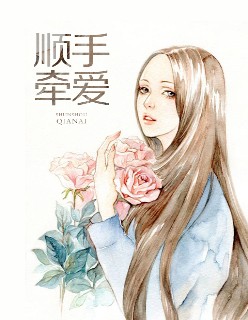 高家丫鬟
