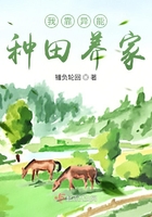 免费鉴宝专家在线咨询