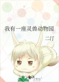 2024cm1视频